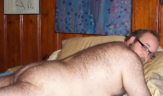 Featured bear